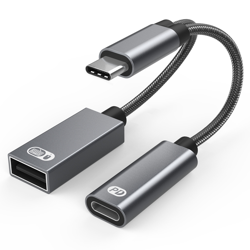 Audio 1 to 2  Type-C to USB OT - огляд і ціна Gaming Keyboard Types